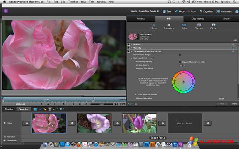 what is adobe premiere elements vs pro