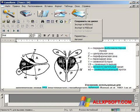 ภาพหน้าจอ CuneiForm สำหรับ Windows XP