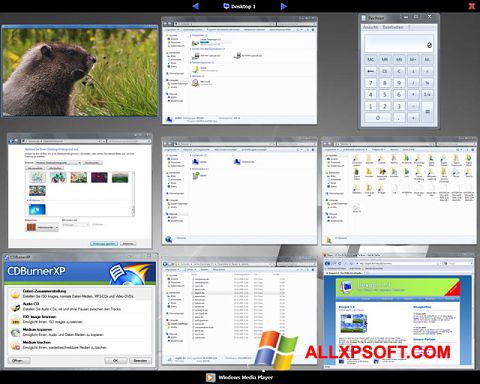ภาพหน้าจอ Dexpot สำหรับ Windows XP