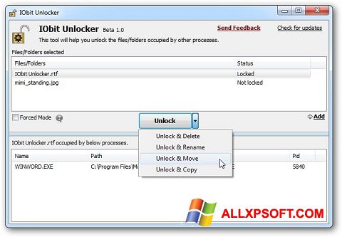 ภาพหน้าจอ IObit Unlocker สำหรับ Windows XP