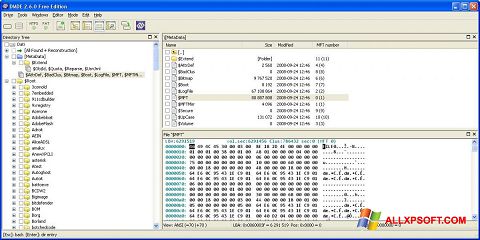 ภาพหน้าจอ DMDE สำหรับ Windows XP